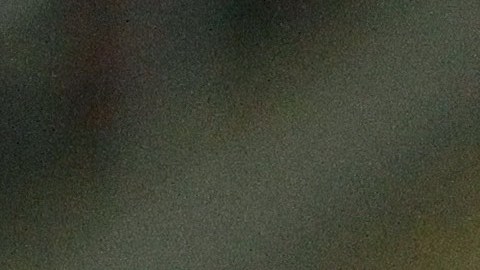 El delantero de Chivas se mostró contento por regresar a las canchas luego de 16 meses.