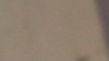 ICE ha extendido el uso de Alternativas a la Detención (ATD) con las que ahora monitorea a 191,212 migrantes.