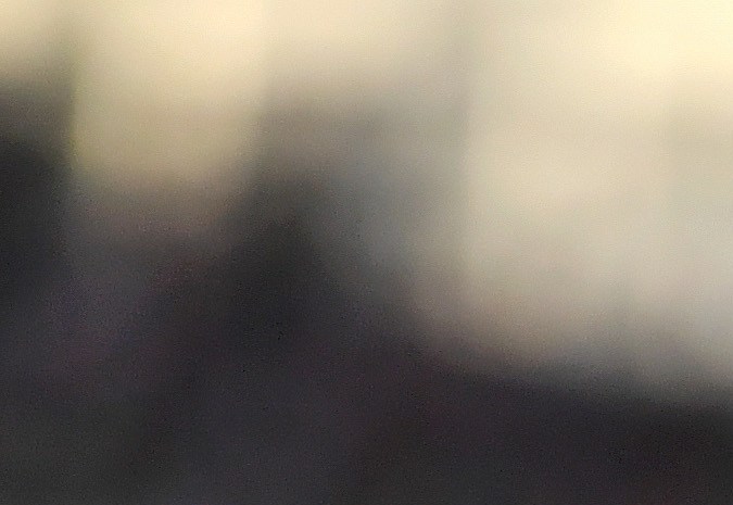 Carlos Vela, jugador de la Selección Mexicana.