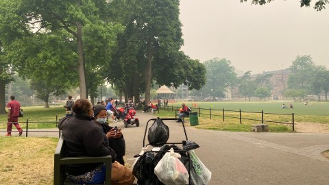 Vista de un parque en Nueva York.