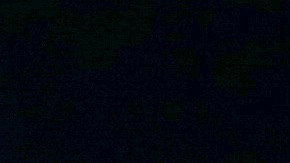 La atracción inmersiva invernal estará abierta hasta el 16 de enero.