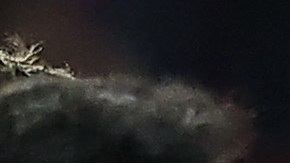 Uruguayo José María Giménez se fracturó la mano al golpear una pared tras perder contra el Barcelona