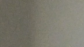 Juan Soto y sus palabras de apoyo a Jasson Domínguez: "Tenemos que venir más fuertes"