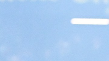Federación Italiana advierte a los clubes que se unan a la Superliga: "Quedará fuera de la Serie A"