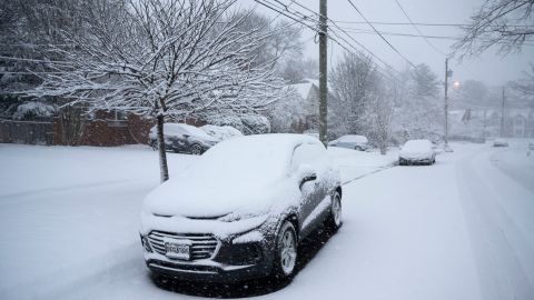 Maryland Nieve