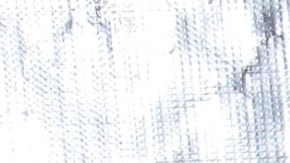 Laura Zapata, actriz mexicana.