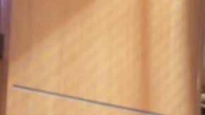 Lili Estefan y Raúl de Molina, presentadores de 'El Gordo y la Flaca', criticaron a Marjorie de Sousa.