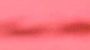 Michelle Renaud y Matías Novoa se casaron.