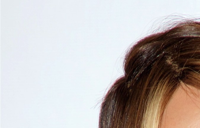 Myrka Dellanos, periodista estadounidense.