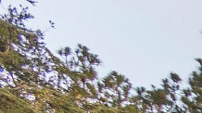 Disneyland California