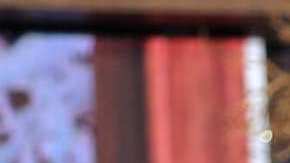 Raúl González, presentador venezolano de televisión.