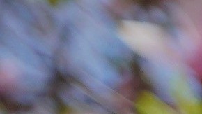 Activistas durante una manifestación en abril de 2023 apoyada por algunos miembrios del Concejo.