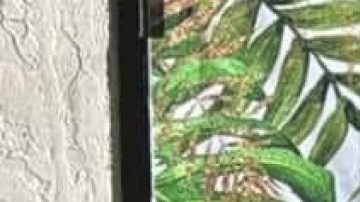 Savanah Nicole Soto y Matthew Guerra