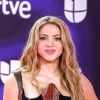 Shakira, cantante colombiana.