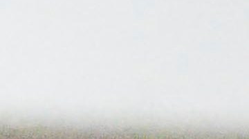 Rosalía y Jeremy Allen White saliendo de una cena en Los Ángeles.