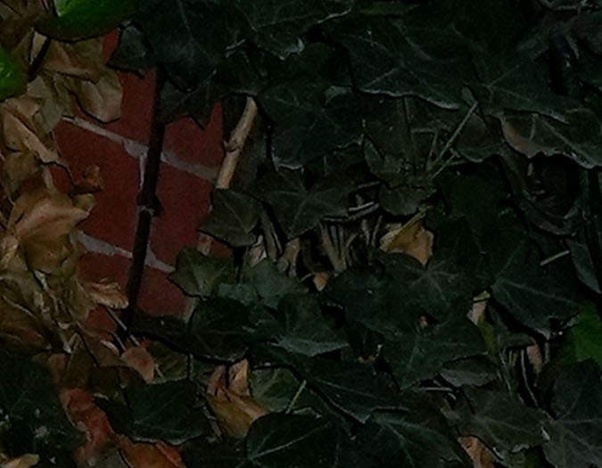 Taylor Swift y Travis Kelce