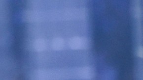 Tekashi 6ix9ine, rapero estadounidense.