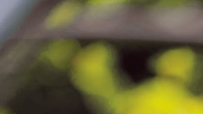 El demócrata Tom Suozzi compite por el Distrito 3 federal de Nueva York.