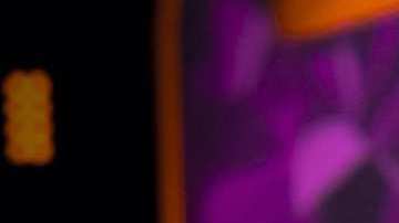 Wendy Guevara, influencer mexicana y ganadora de 'La Casa de los Famosos México'.