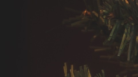Hay que ser responsable con el medio ambiente a la hora de planificar las celebraciones navideñas.