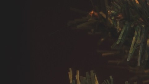 Hay que ser responsable con el medio ambiente a la hora de planificar las celebraciones navideñas.