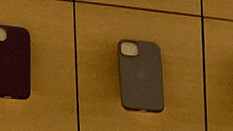 Apple 15