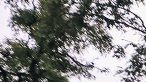 Un fuerte temporal en Argentina provoca 14 muertes y severos destrozos