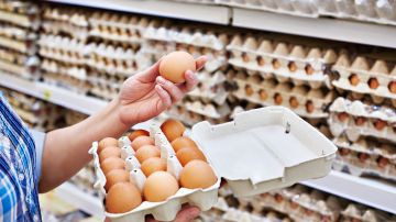 aumento-de-precios-de-huevos-demanda-proveedores