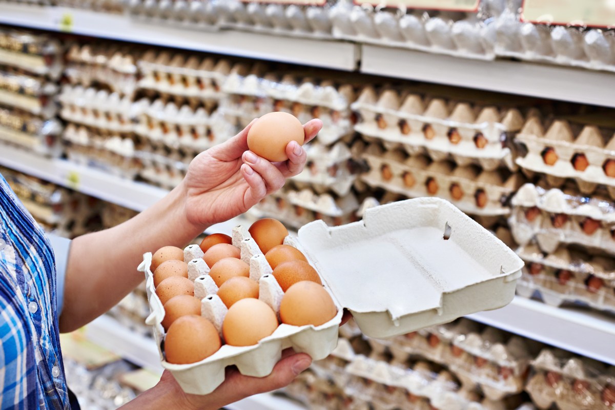 Egg suppliers will pay $17.7 million in damages for increasing prices – El Diario NY
