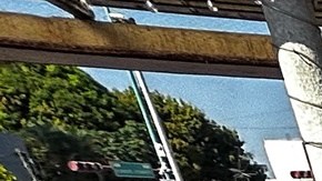 Miles de migrantes obtienen un amparo para recibir atención de las autoridades mexicanas