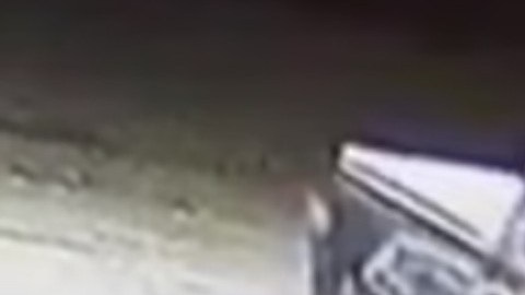 Padre e hija muertos por hipotermia en Sout Carolina
