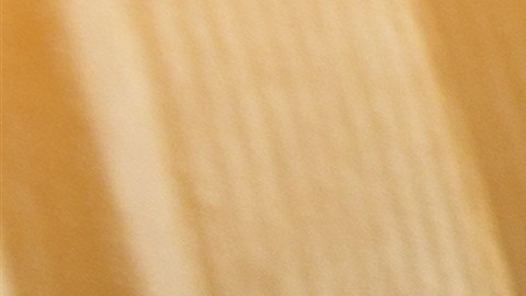 florida-loteria-raspadito-tammy-kenon