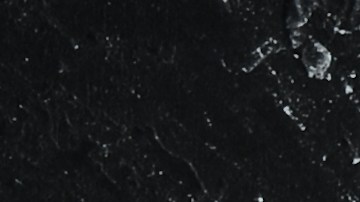 Alimentos ricos en hierro