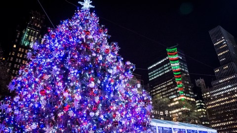 The,Bryant,Park,Christmas,Tree,With,Buildings,In,The,Background