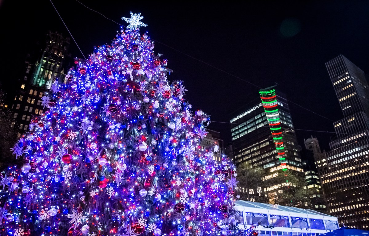 Event agenda: what to do in New York from December 7 to 13 – El Diario NY