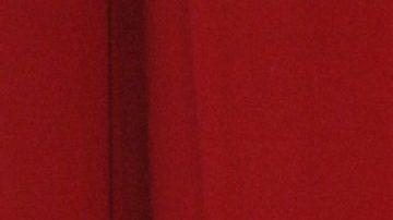 En la imagen aparece la actriz Lorena Rojas, para una alfombra roja en los "Premios Billboard a la Música Latina del año 2008.