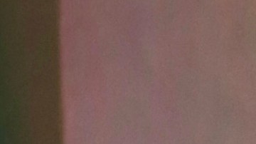 Shakira buscaría que sus hijos no tengan ningún contacto con Clara Chía.