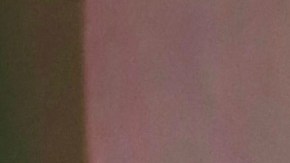 Shakira buscaría que sus hijos no tengan ningún contacto con Clara Chía.