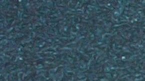 Kate del Castillo se hospedó en el Live Aqua Punta Cana.