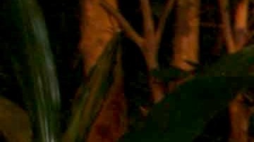 Mayrín Villanueva junto a su esposo Eduardo Santamaría el día de su boda.