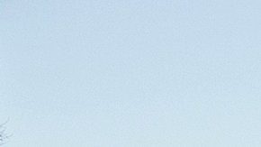 Solidarity rally with the Palestinian people in Washington