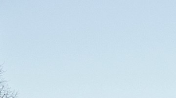 Solidarity rally with the Palestinian people in Washington