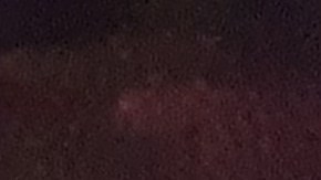 Redada nocturna de NYPD.