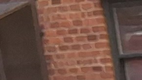 El crecimiento demográfico de adultos mayores en la Gran Manzana se elevó en un 21% en una década