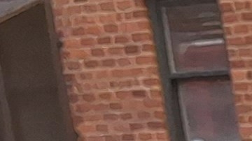 El crecimiento demográfico de adultos mayores en la Gran Manzana se elevó en un 21% en una década