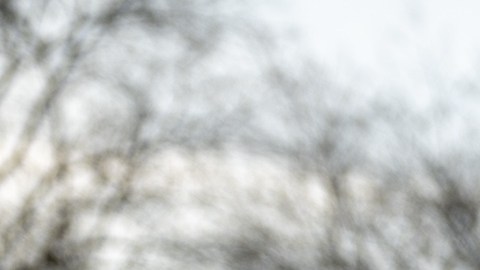 Delia Ramírez en Humboldt Park