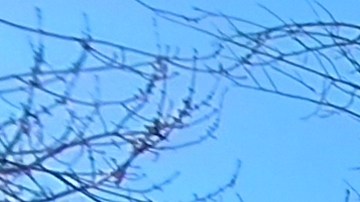 Gaspar, Melchor y Baltasar llevaron el regalo de la unión de comunidades escolares del Alto Manhattan.