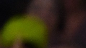 Rafael Nadal felicita a Jordan Thompson luego de eliminarlo en el Brisbane International 2024.