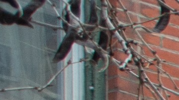 Durante la celebración, cientos de niños tendrán la oportunidad de recibir regalos gratis.