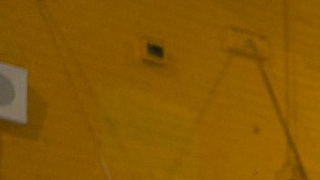 Asambleístas exigen al gobierno estatal de Nueva York más apoyo a la Gran Manzana con la crisis migratoria.